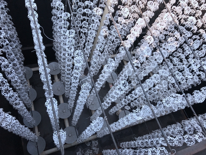 ������(�й�)�ٷ���վ